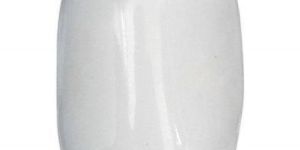 White Coral Gemstone