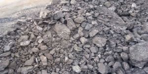 Thangadh Coal