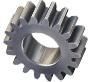 Spur Gear