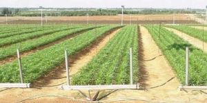 Industrial Automation Systems