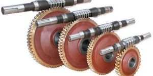 Worm Wheel Gear