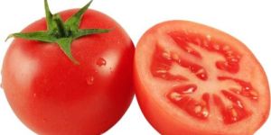 Fresh Tomato