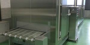 IQF Conveyor System