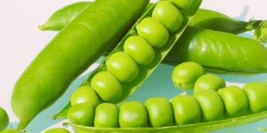 Fresh Green Peas