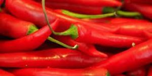 Fresh Red Chilli