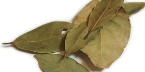 Dried Bay Leaves