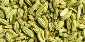 Fennel Seeds