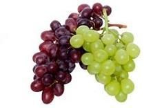 Fresh Grapes