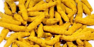 Turmeric Fingers