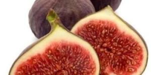 Fresh Figs