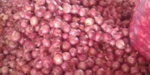 Fresh Red Onion