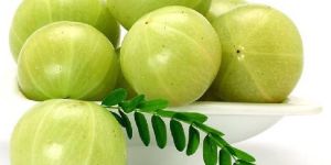 Fresh Gooseberry