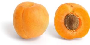 Fresh Apricot