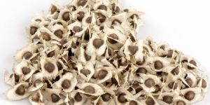 Dried Moringa Seeds