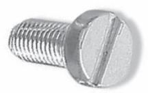Slotted Cheese Head Screw
