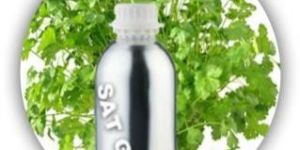 Coriander Oil