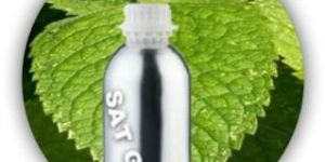 Spearmint Oil
