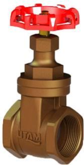 Forged Steel Globe Valve