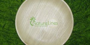 Flat Classic Round Plate