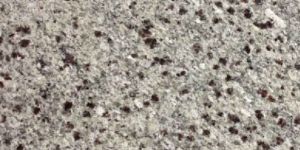 White Pearl Granite
