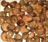 Raw Cashewnut