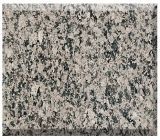 Desert Green Granite