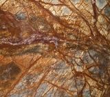 Rainforest Brown Marble