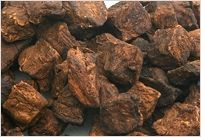 Roasted Chicory Cubes