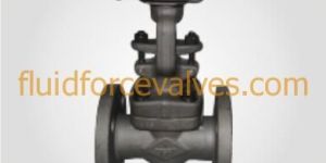 Forged Steel Valve
