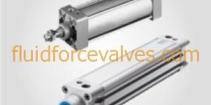 Pneumatic Cylinder