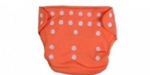 Reusable Diaper