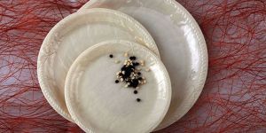 French Bow Dinner Plates