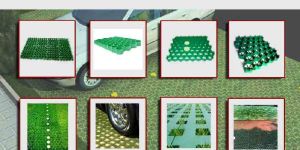 Grass Paver