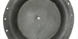 Neoprene Diaphragm