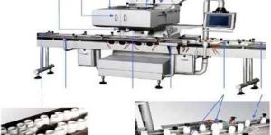 Capsule Counting & Filling Machine