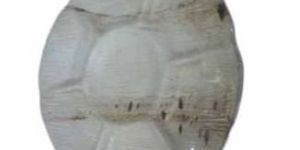 Palm Leaf Section Round Plate