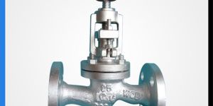 Lift Check Valves