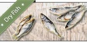 Dry Fish