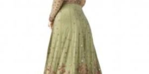 Pista Green Net Embroidered Dress Material