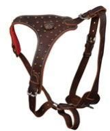 Dog Harness