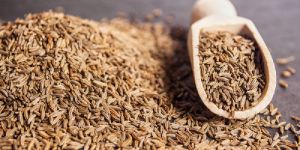Organic Cumin