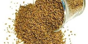 Ajwain
