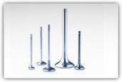 inlate & Exhaust Valves
