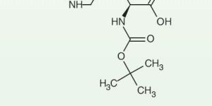 N-Boc-L-Arginine