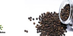 Black Pepper Oil
