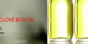 Clove Bud Oil