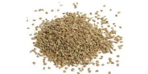 Ajwain Seed