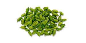 Green Cardamom
