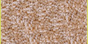 Sesame Seeds