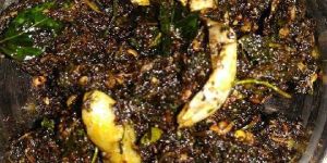 Coriander Pickle